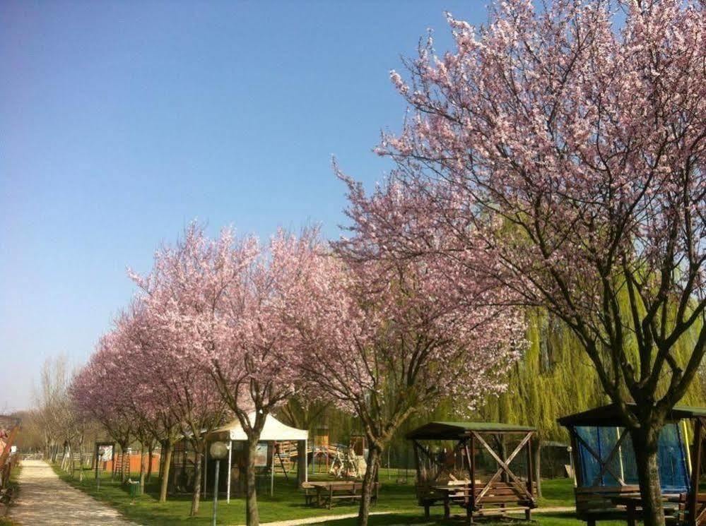 Agriturismo Tre Rondini Legnago Exterior foto